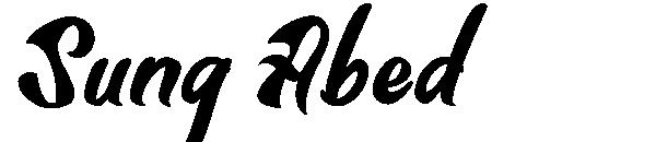 Sung Abed字体
