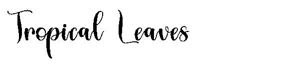 Tropical Leaves