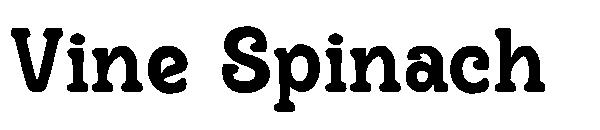 Vine Spinach字体