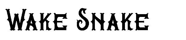 Wake Snake字体