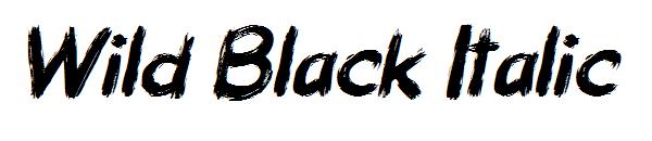 Wild Black Italic字体