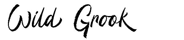 Wild Grook字体