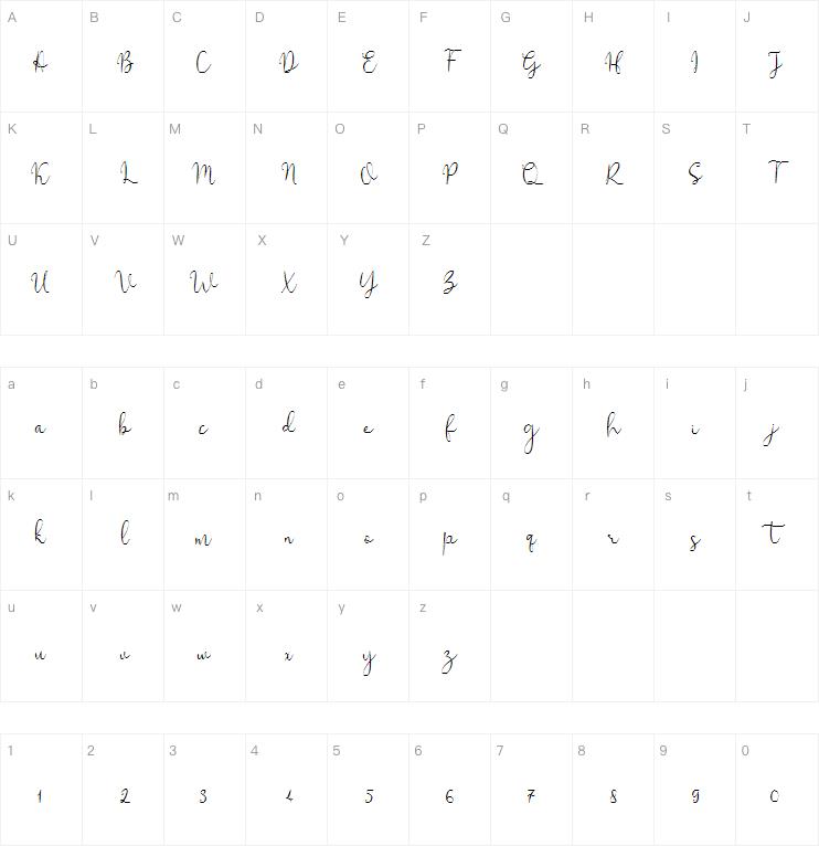 Solidar Script Family