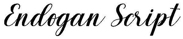 Endogan Script