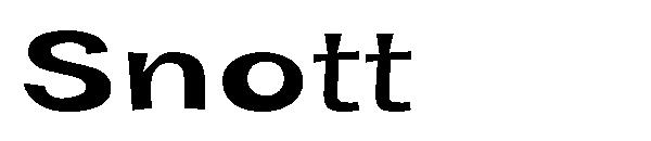 Snott字体