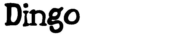 Dingo