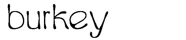 Burkey字体