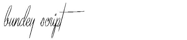 bundey script