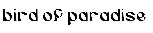 bird of paradise字体