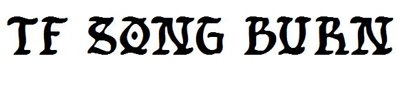tf song burn字体