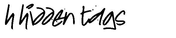 h hidden tags字体