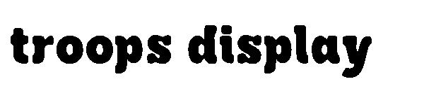 troops display字体