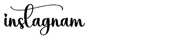 instagnam字体