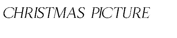 christmas picture字体