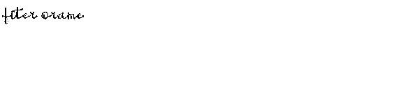 fiter orame字体