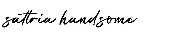 sattria handsome