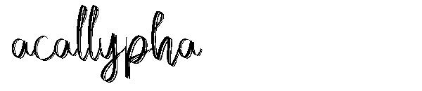 acallypha