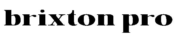 brixton pro&nbsp;字体下载