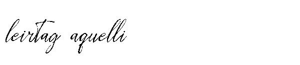 Leirtag aquelli字体
