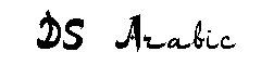 DS Arabic字体