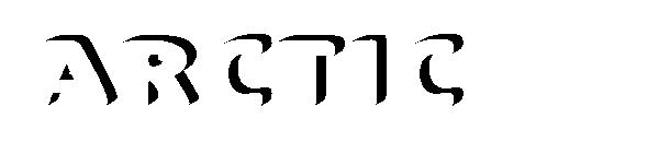ARCTIC字体