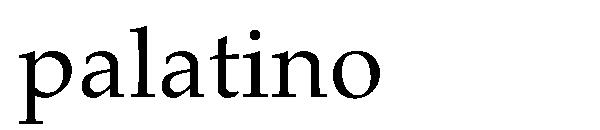 palatino字体下载