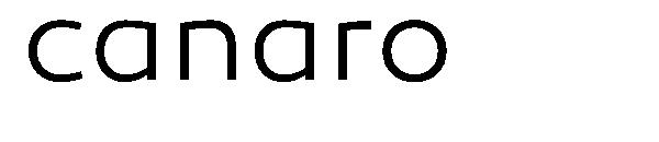 canaro字体