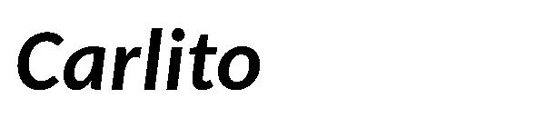 Carlito字体
