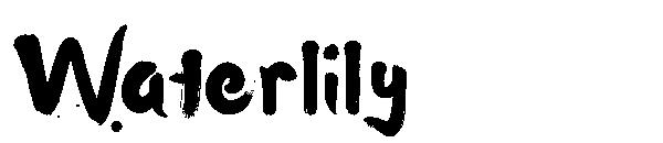 Waterlily字体