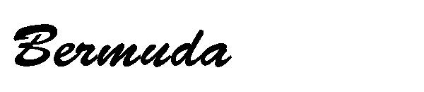 Bermuda字体