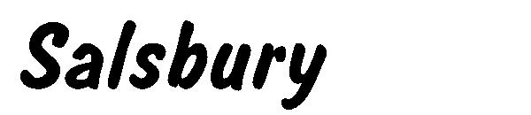 Salsbury字体