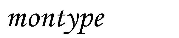 montype字体