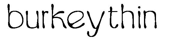Burkeythin字体