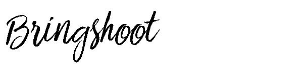 Bringshoot字体
