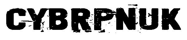 Cybrpnuk