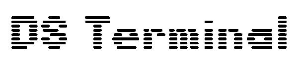 DS Terminal