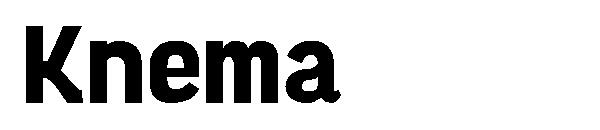 Knema