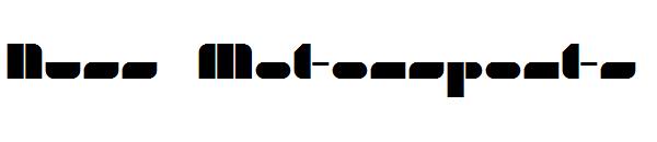 Nuss Motorsports字体