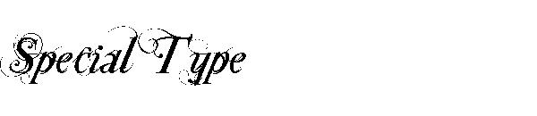 Special Type