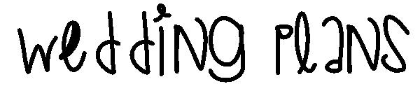 Wedding Plans字体