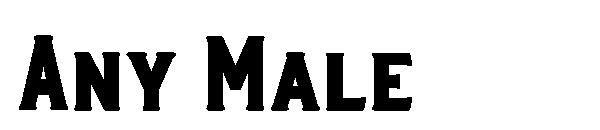 Any Male字体