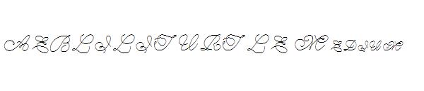 AEBLILITURTLE Medium字体