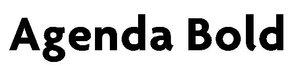Agenda Bold字体