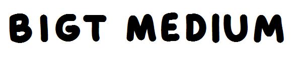 BIGT Medium字体
