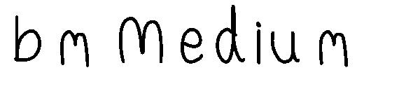 bm Medium字体