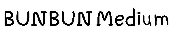 BUNBUN Medium字体
