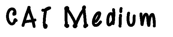 CAT Medium字体