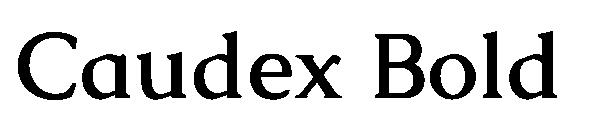 Caudex Bold字体