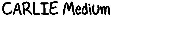 CARLIE Medium字体