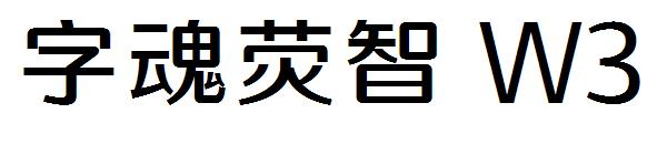 字魂荧智 W3